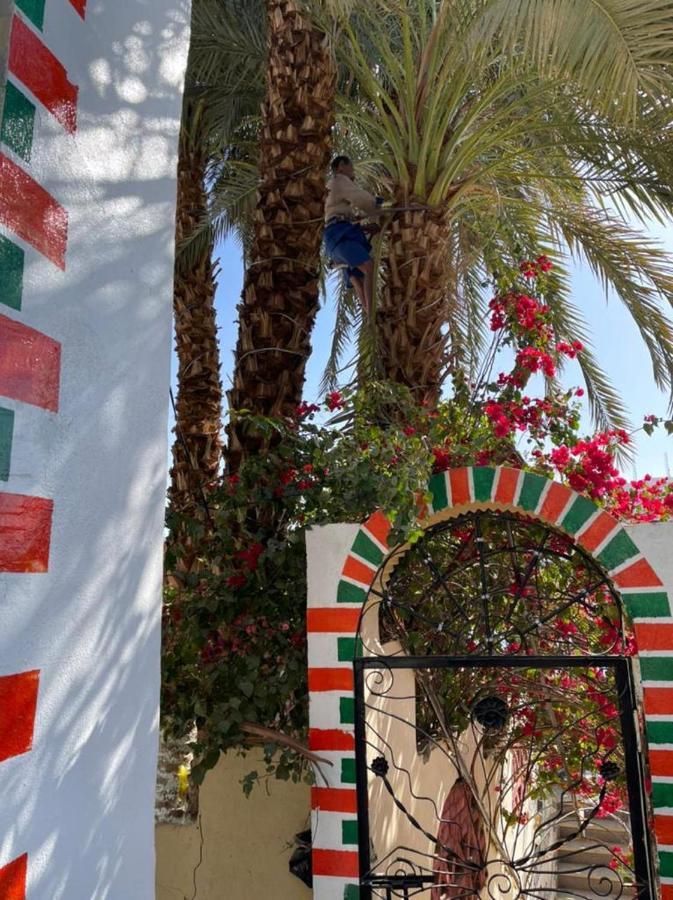Nubian Dreams Guest House Aswan Luaran gambar